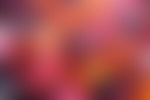Фотография квиза Лига индиго от компании Лига индиго (Фото 1)