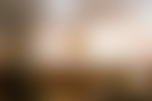 Фотография квеста Хоббит: тайна кольца от компании World of Quests (Фото 2)