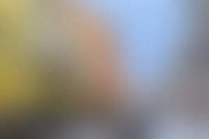 Фотография городского квеста Последнее творение ангелов (delete) от компании Delete (Фото 3)