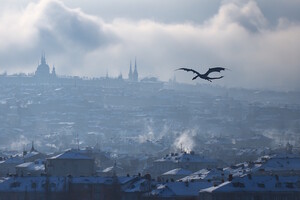 Фотография городского квеста Игра престолов: решающий бой с королем ночи и белыми ходоками от компании Ubego (Фото 1)