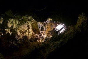 Фотография квеста Дикий Запад: золотая лихорадка от компании Quest Zone (Фото 2)